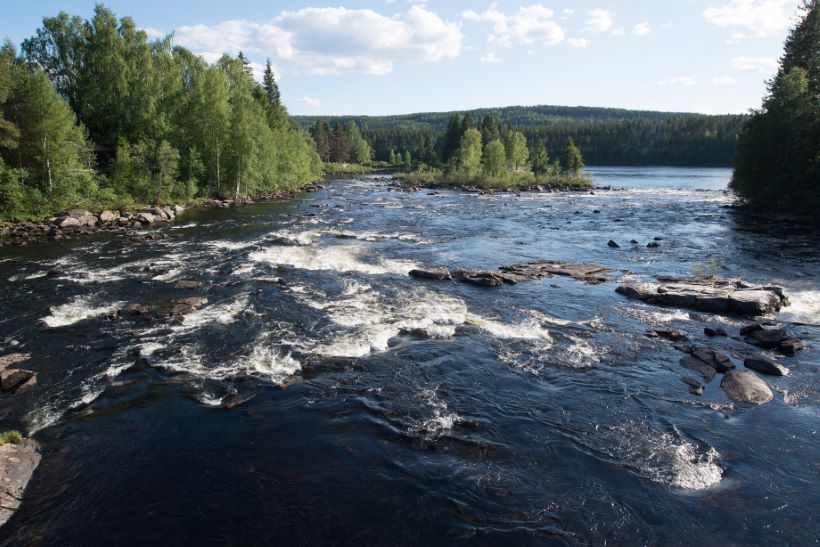 en tilbyder av YSK-kurs Elverum